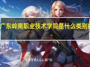 广东岭南职业技术学院是什么类别的学校