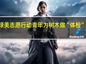 广东开展绿美志愿行动青年为树木做“体检” 到底什么情况嘞