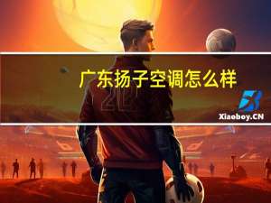 广东扬子空调怎么样
