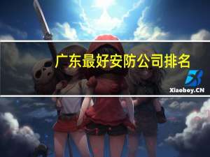 广东最好安防公司排名