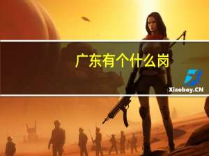 广东有个什么岗