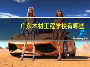 广东木材工程学校有哪些