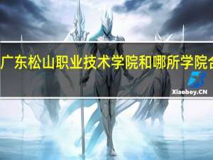 广东松山职业技术学院和哪所学院合并了