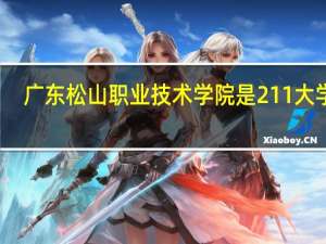 广东松山职业技术学院是211大学吗