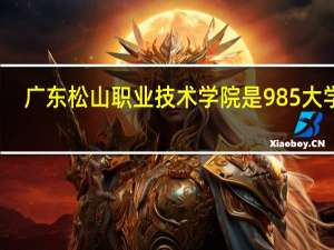 广东松山职业技术学院是985大学吗