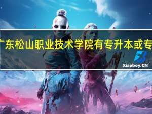 广东松山职业技术学院有专升本或专插本吗