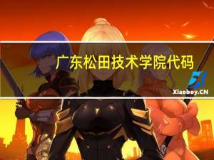 广东松田技术学院代码