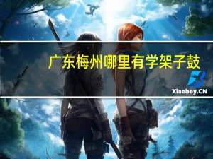广东梅州哪里有学架子鼓