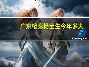 广东榕泰杨宝生今年多大（杨宝生-广东榕泰实业股份有限公司董事长介绍）