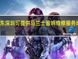 广东深圳可提供马兰士音响维修服务地址在哪