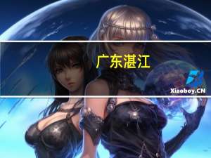 广东湛江：正式执行“认房不认贷”