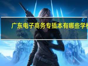 广东电子商务专插本有哪些学校