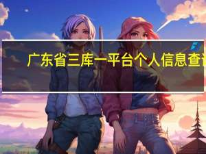广东省三库一平台个人信息查询（广东三库一平台个人信息查询系统）