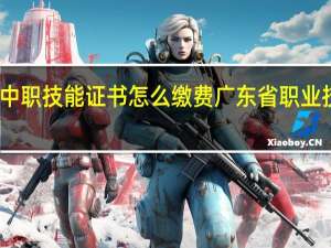 广东省中职技能证书怎么缴费 广东省职业技能鉴定中心