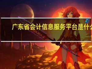 广东省会计信息服务平台是什么