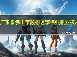 广东省佛山市顺德区李伟强职业技术学校