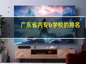 广东省内专b学校的排名