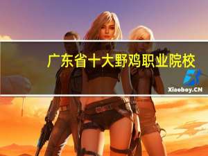 广东省十大野鸡职业院校