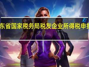 广东省国家税务局税友企业所得税申报软件 V1.0.110 官方最新版（广东省国家税务局税友企业所得税申报软件 V1.0.110 官方最新版功能简介）