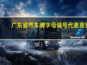 广东省市车牌字母编号代表意思