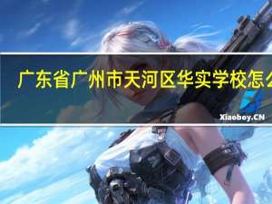 广东省广州市天河区华实学校怎么样