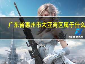 广东省惠州市大亚湾区属于什么区