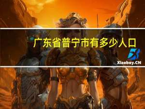 广东省普宁市有多少人口
