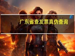 广东省查发票真伪查询（广东国税局发票真伪查询）
