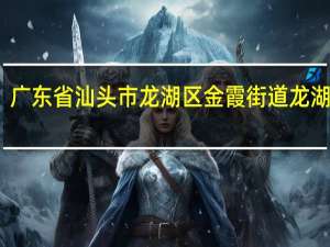 广东省汕头市龙湖区金霞街道龙湖新村（广东省汕头市）
