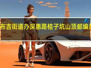 广东省深圳市龙岗区布吉街道办深惠路桔子坑山顶邮编是什么 深圳市龙岗区布吉镇