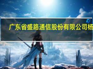 广东省盛路通信股份有限公司杨华（杨华-广东盛路通信科技股份有限公司董事长介绍）