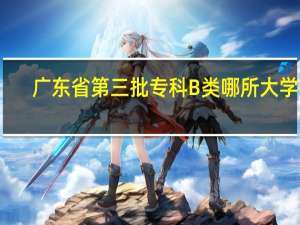 广东省第三批专科B类哪所大学好