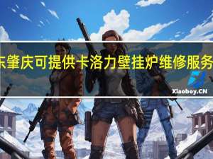 广东肇庆可提供卡洛力壁挂炉维修服务地址在哪