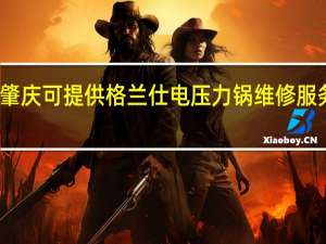 广东肇庆可提供格兰仕电压力锅维修服务地址在哪