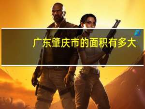 广东肇庆市的面积有多大