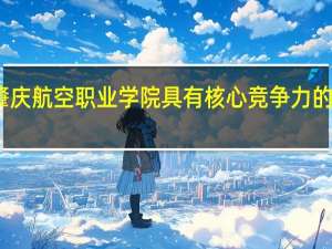 广东肇庆航空职业学院具有核心竞争力的专业有哪些