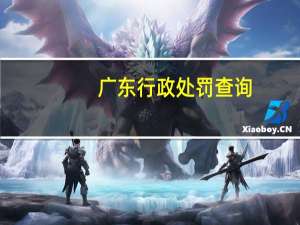 广东行政处罚查询（行政处罚查询）