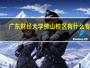 广东财经大学佛山校区有什么专业