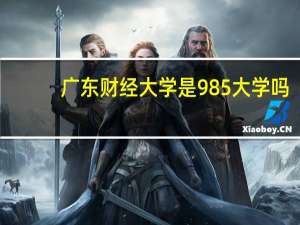 广东财经大学是985大学吗
