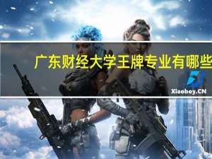 广东财经大学王牌专业有哪些