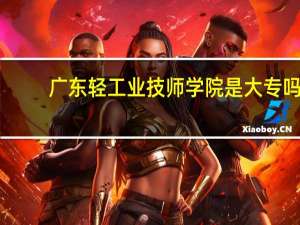 广东轻工业技师学院是大专吗
