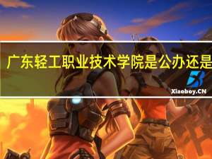 广东轻工职业技术学院是公办还是民办