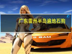 广东雷州半岛遍地石狗，石狗在当地有什么寓意