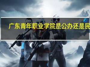 广东青年职业学院是公办还是民办