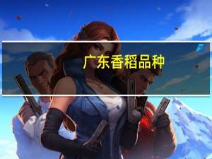 广东香稻品种
