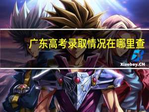 广东高考录取情况在哪里查