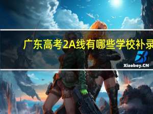 广东高考2A线有哪些学校补录