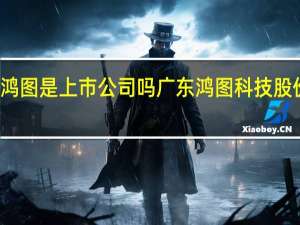 广东鸿图是上市公司吗 广东鸿图科技股份有限公司