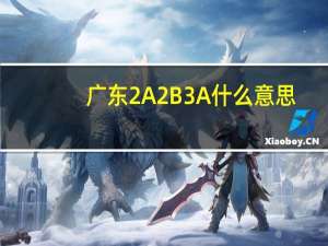 广东2A2B3A什么意思