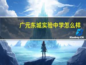 广元东城实验中学怎么样